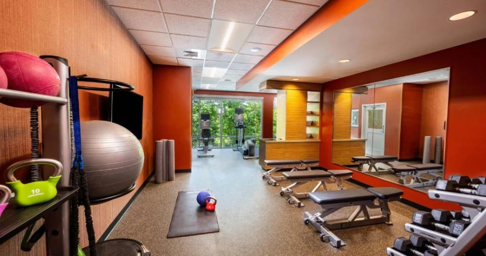 Where to Stay Near Carowinds: Best Hotels for Families & Thrill-Seekers
