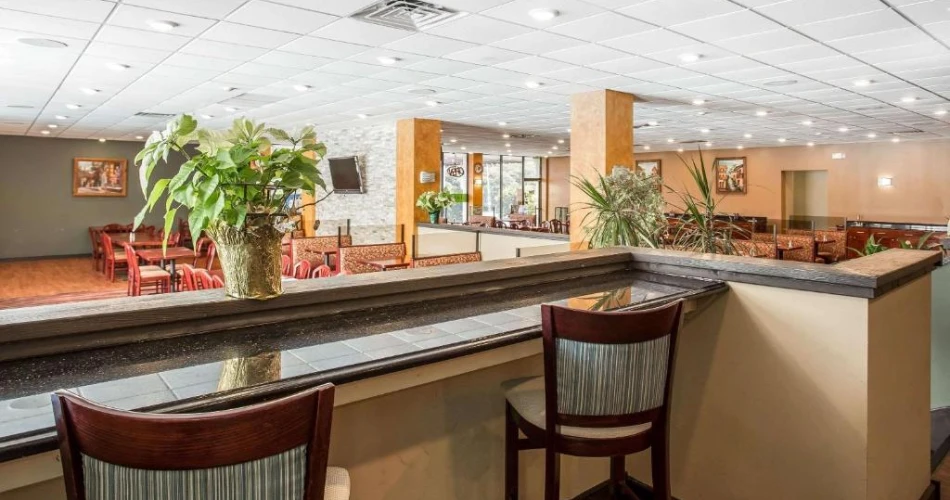 Experience the Best Hotels Around Carowinds for a Fun & Relaxing Stay
